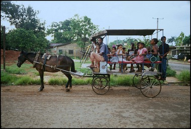 Cuban Horse & Carriage