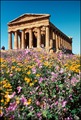 Temple of Concordia