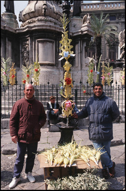 Palm Sellers