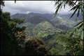 Blue Mountains