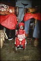 Santeria Shrine
