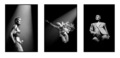 Grace Jones triptych