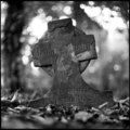 Tower Hamlets Cemetery