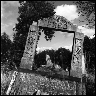 Tower Hamlets Cemetery