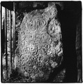 Cairn T
