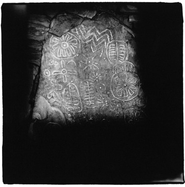 Cairn T