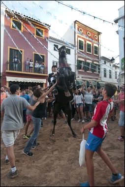 Jaleo Horse Festival