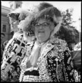 Pearly Queen 11