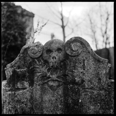 Abney Park Cemetery`
