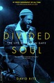 Marvin Gaye - Divided Soul